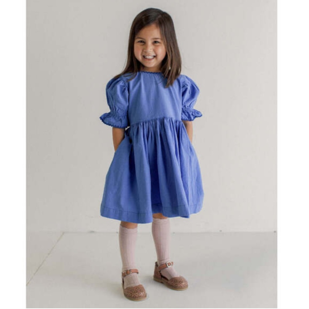 Noble Franny dress in French blue size 5T